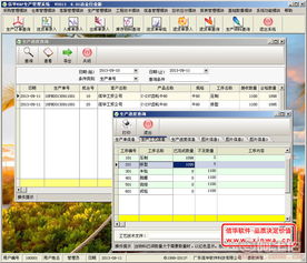 價格實惠，專業可靠——廣東信華電腦科技公司在阿土伯網熱賣促銷，助力軟件開發與信息咨詢服務