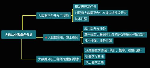 大數據開發工程師與數據經濟信息咨詢 技能融合與職業發展